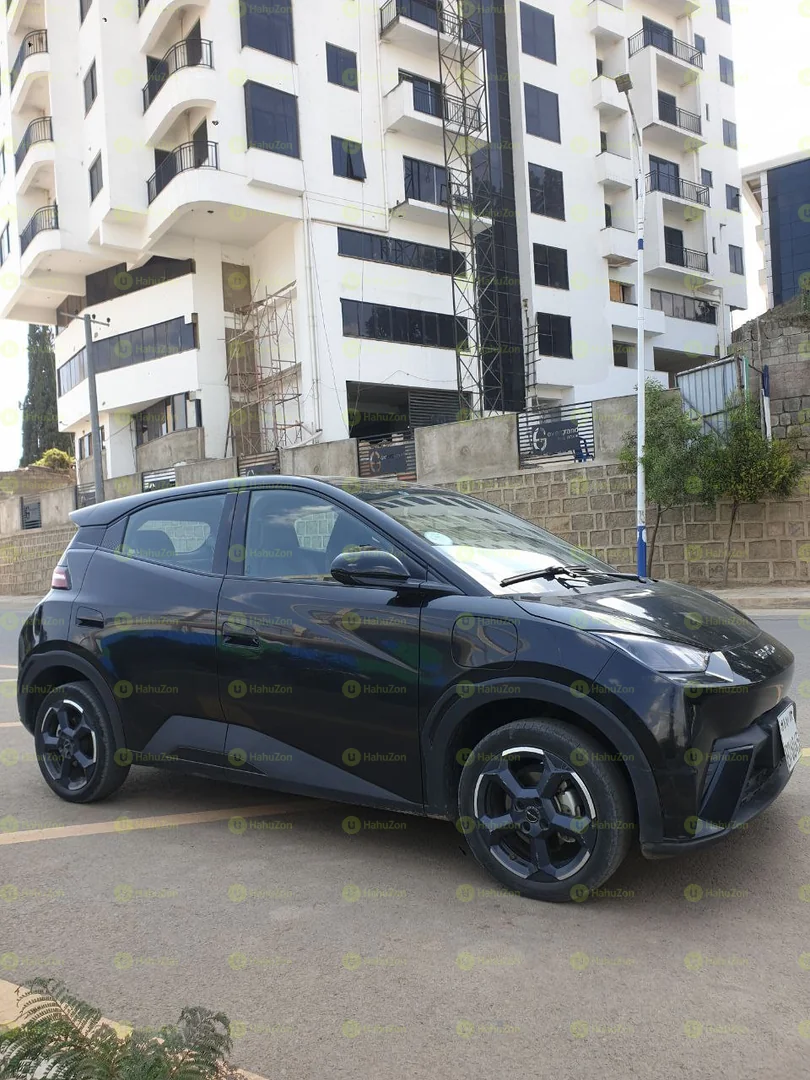 2024 Model-BYD Seagull