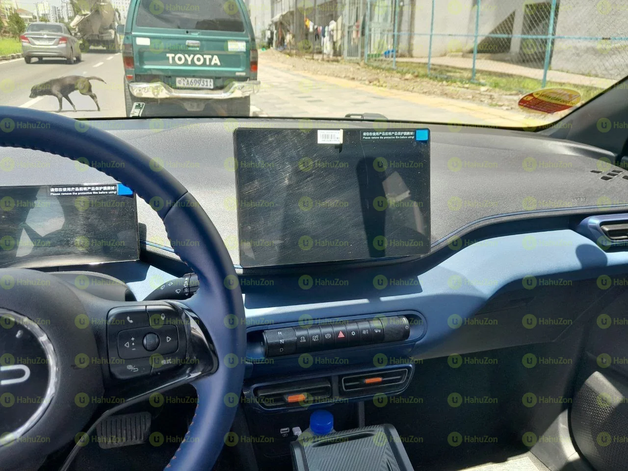 2025 Model-Byd Seagull