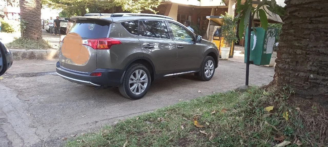 2015 Model-Toyota Rav4