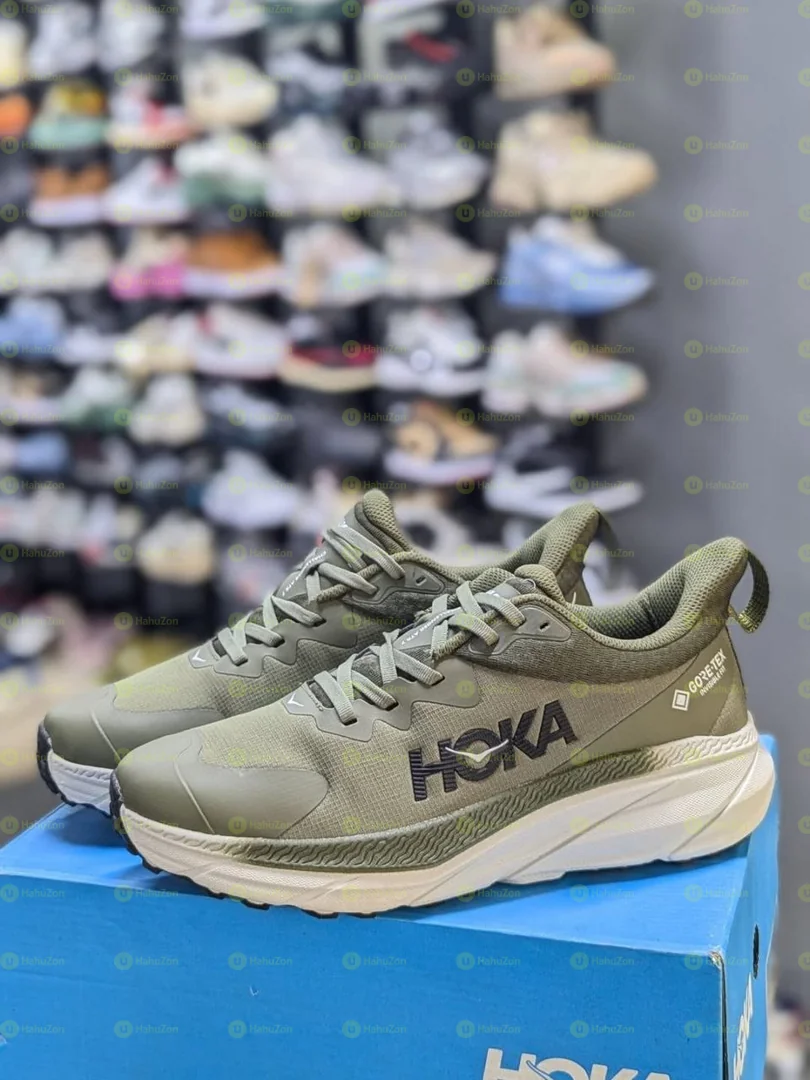 Hoka Gore-Tex Men's Shoes