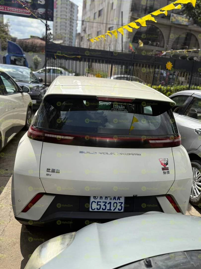 2024 Model- BYD Seagull