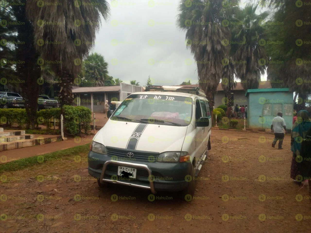 2006 Model-Toyota Hiace Dolpine