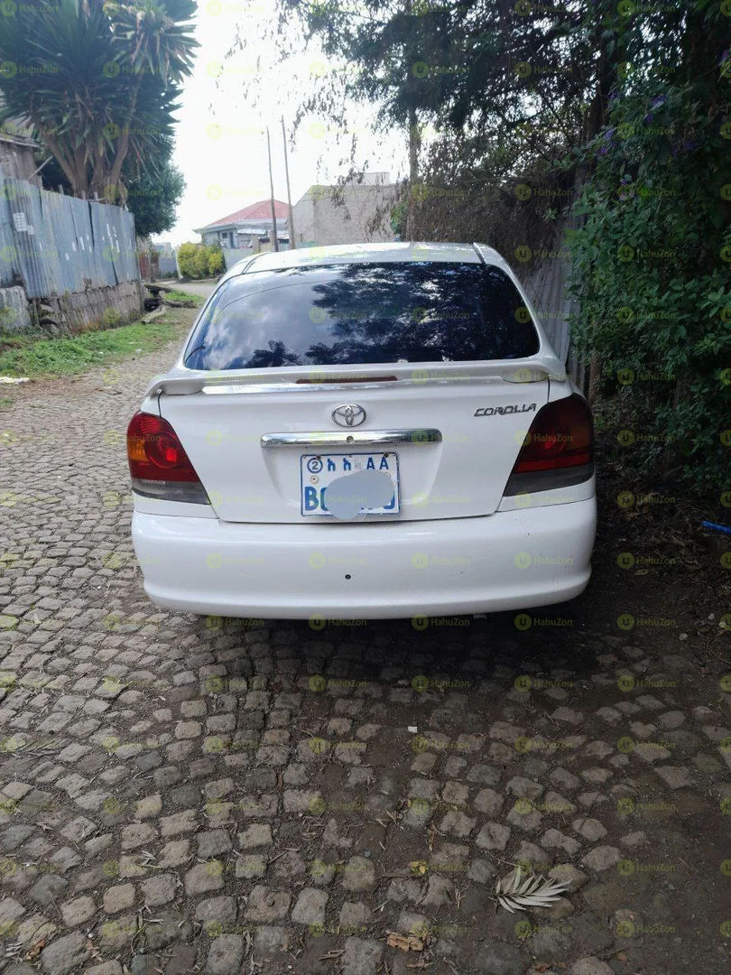 2005 Model-Toyota Platz