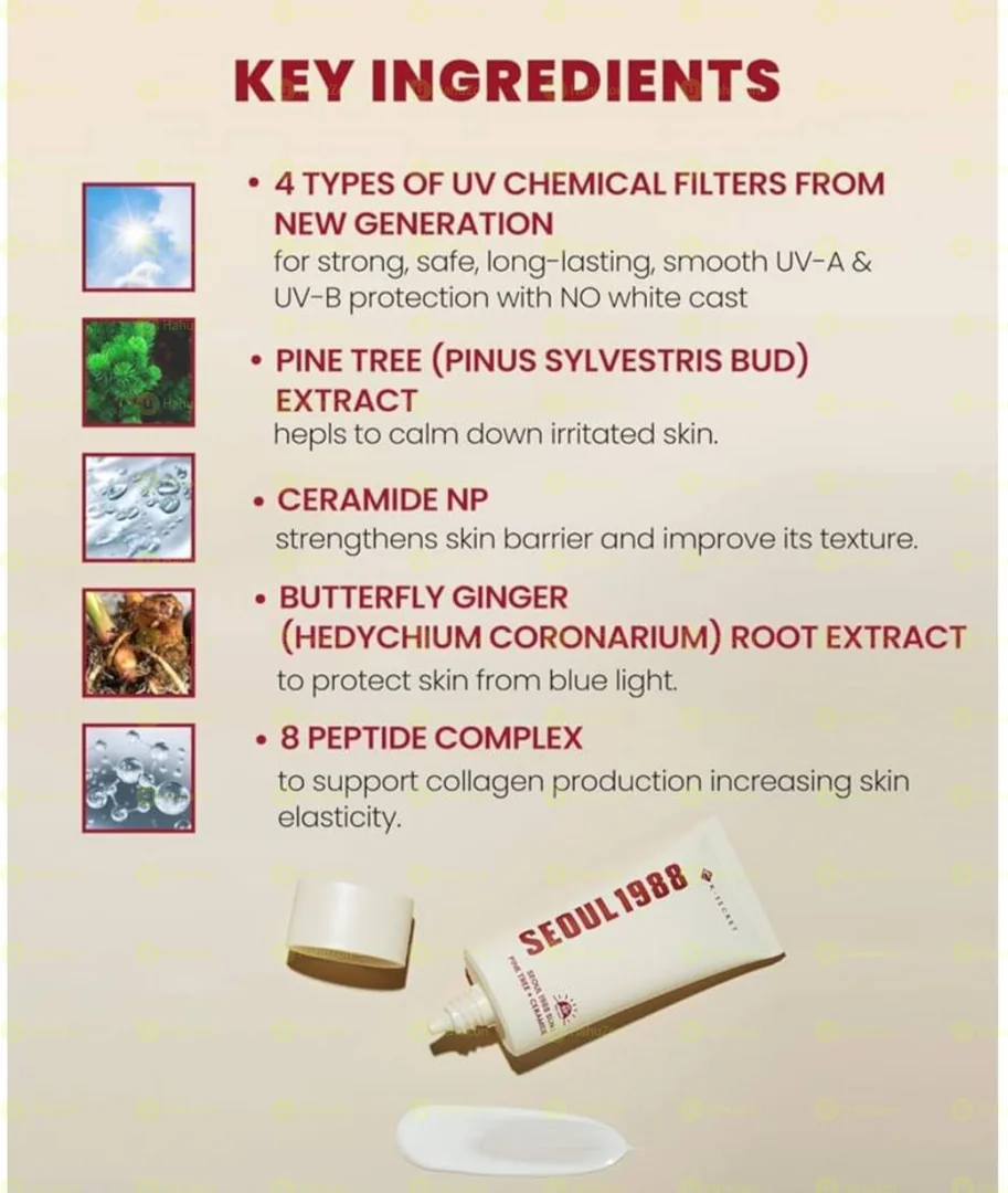 K-SECRET SEOUL 1988 Sun: Pine Tree + Ceramide