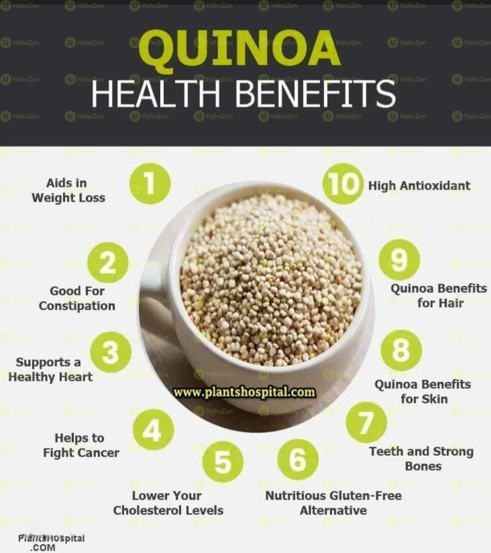 Kirkland Signature Organic Quinoa