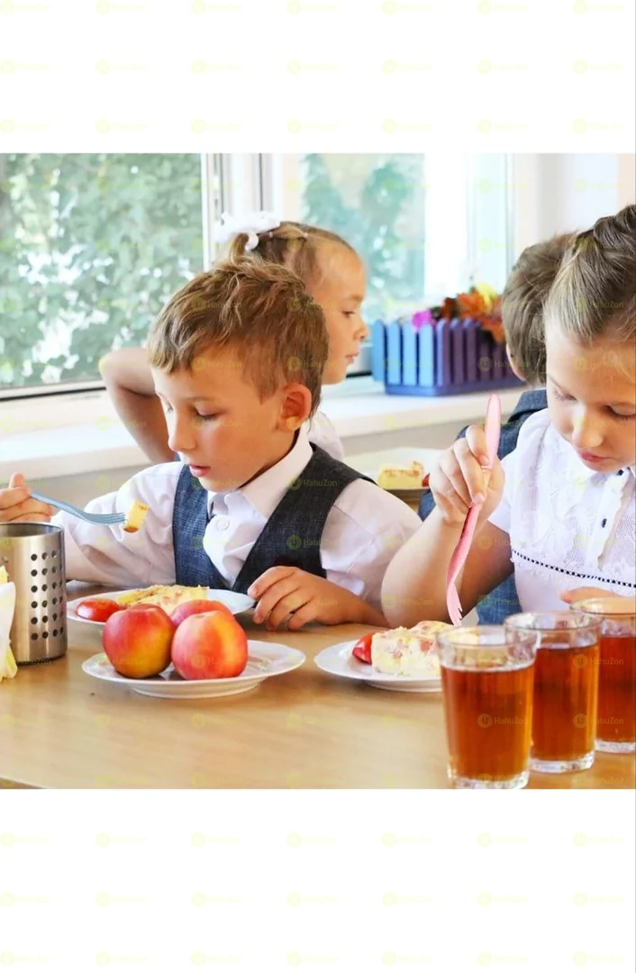 Lunch box Utensils Set with Case