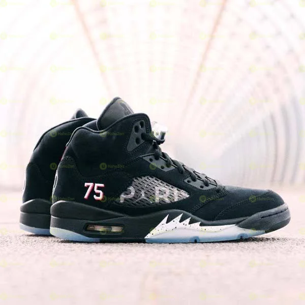 Air Jordan 5 Paris Saint Germain High Men's Shoes
