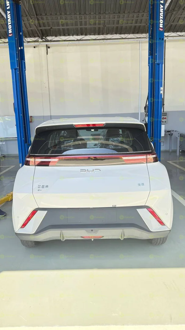 2025 Model- BYD Seagull