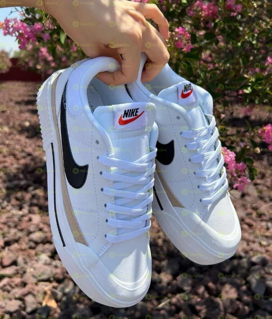 Nike Dunk Sb Men's Shoes