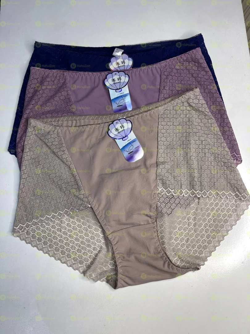 Seamless Lace Underwear