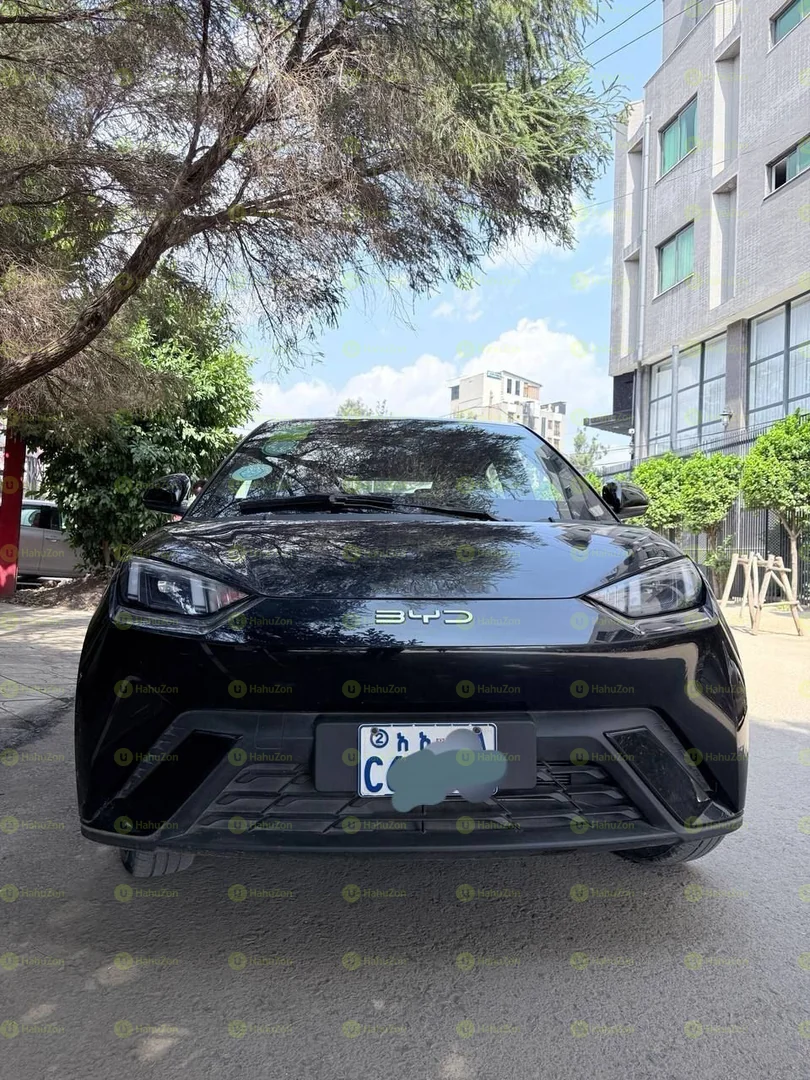 2023 Model-BYD Seagull