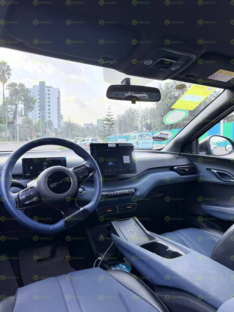 2023 Model-BYD Seagull