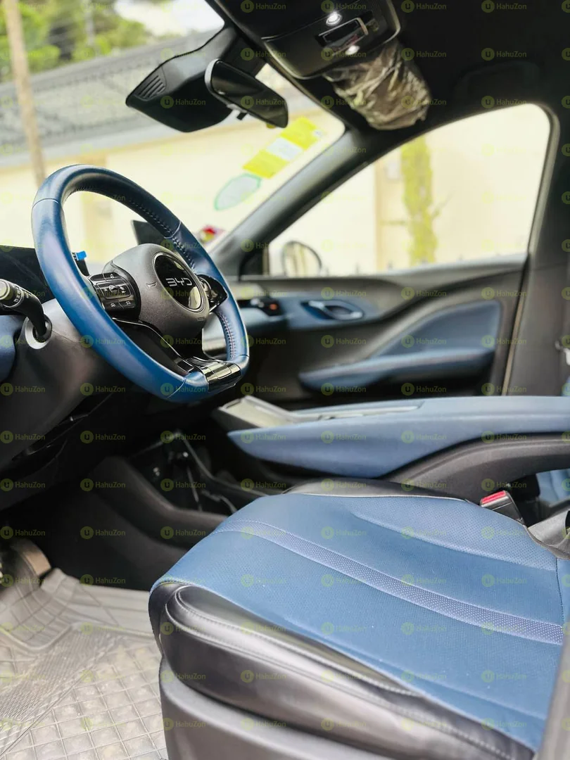 2024 Model- BYD Seagull