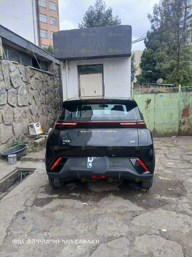 2024 Model- BYD Seagull