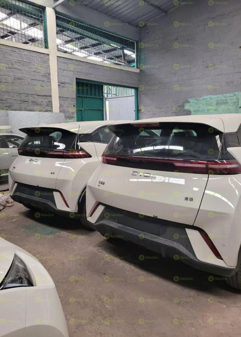 2025 Model- BYD Seagull