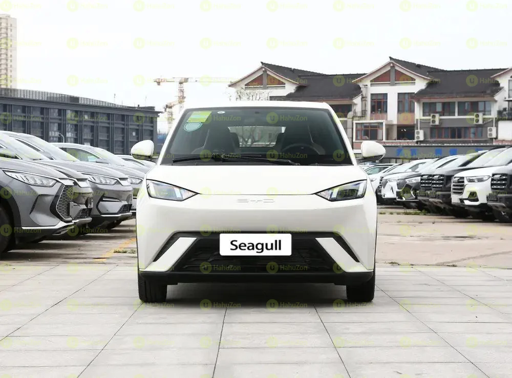 2025 Model- BYD Seagull