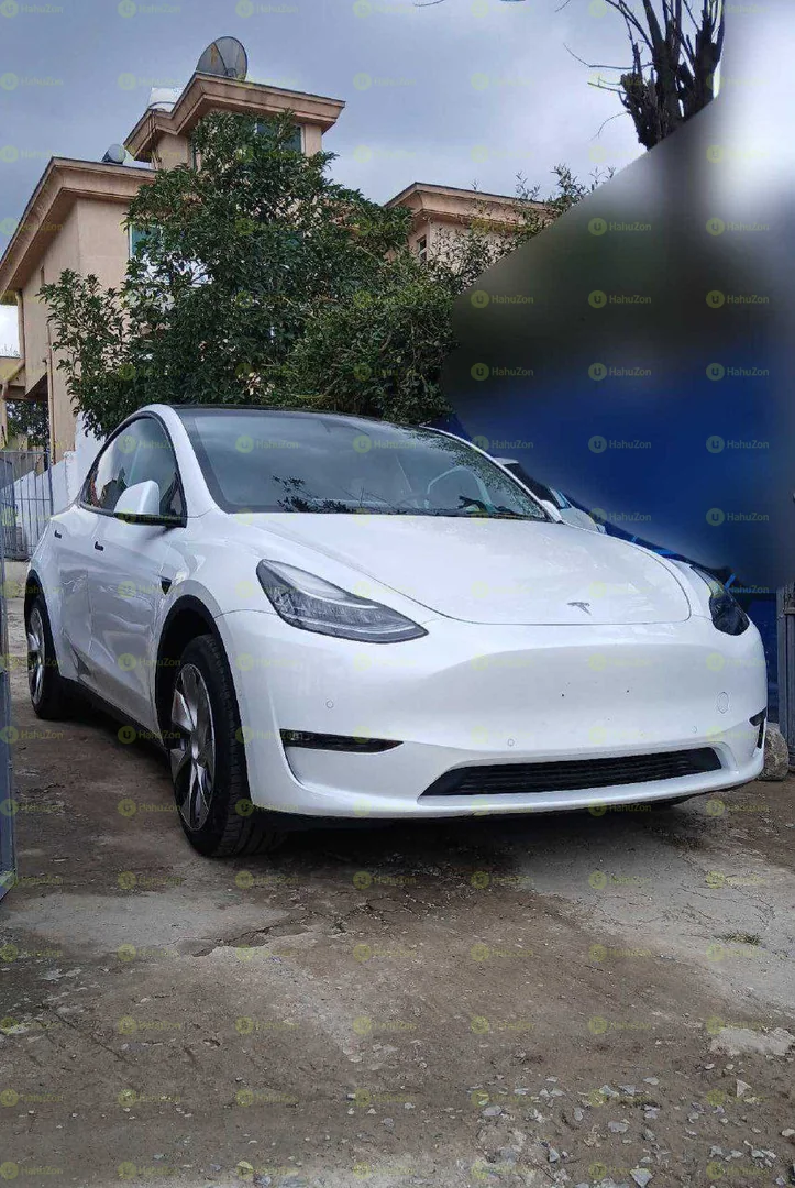 Model-Dual Motor Tesla