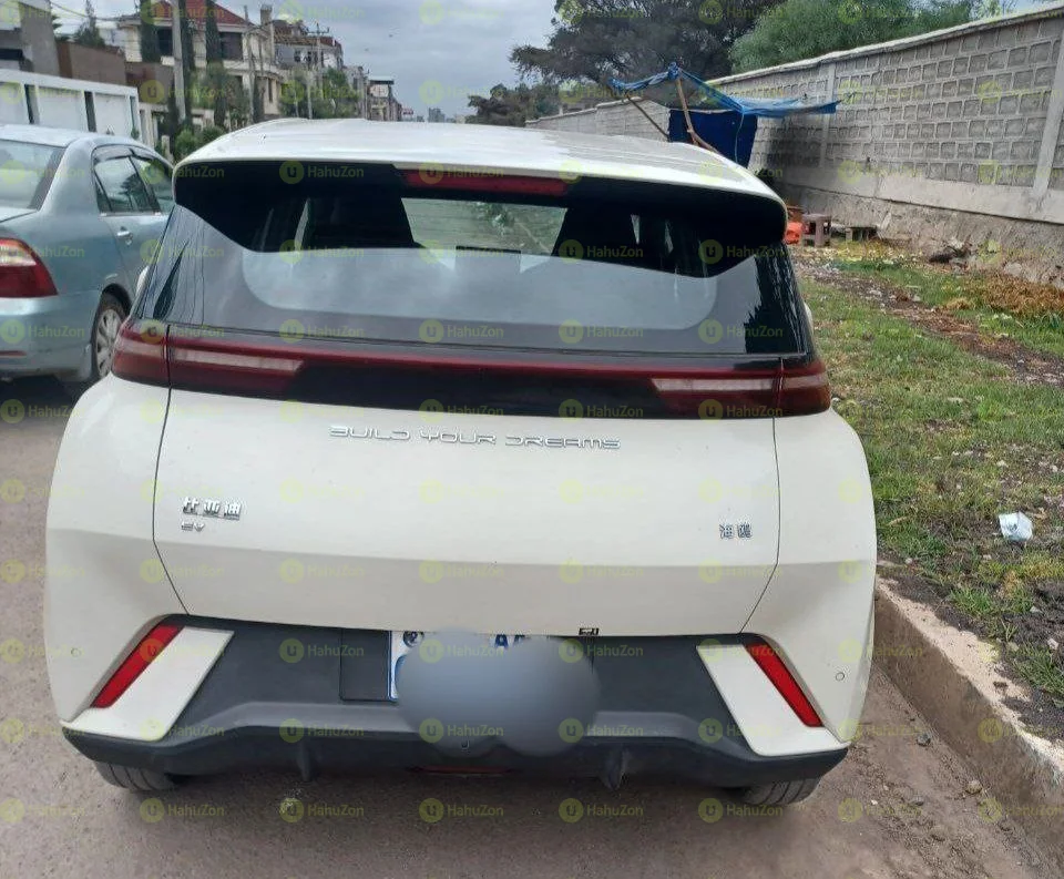 2022 Model-BYD Seagull