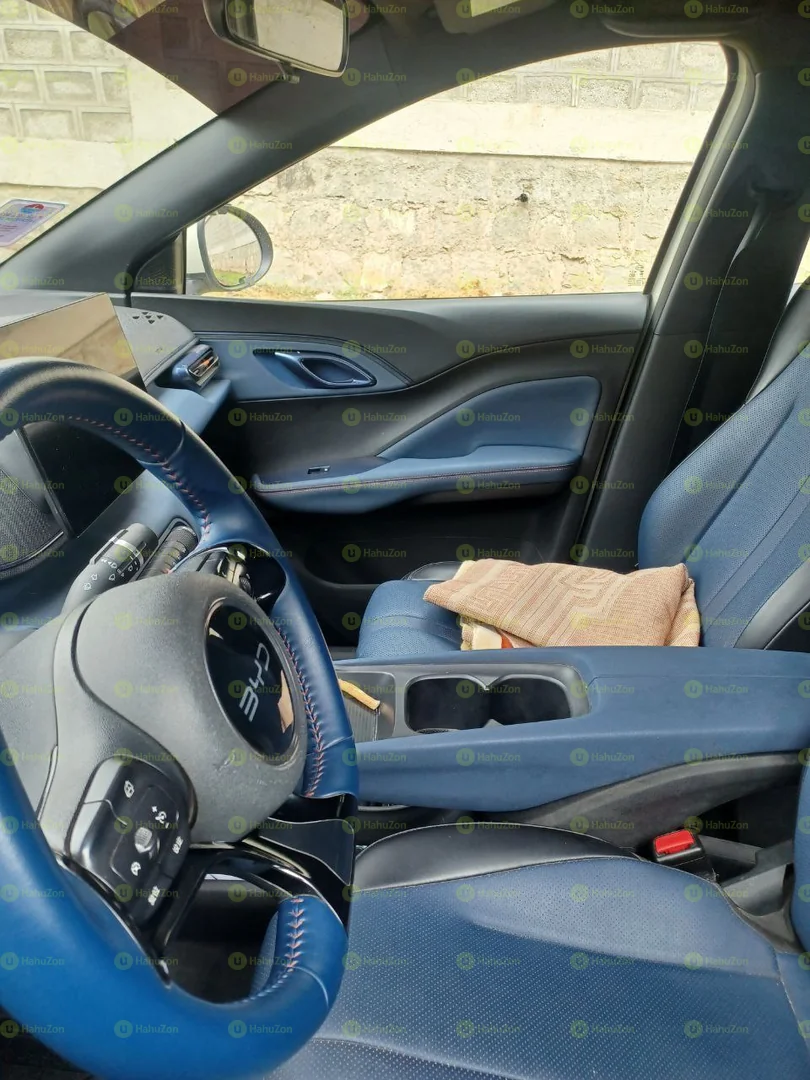 2022 Model-BYD Seagull