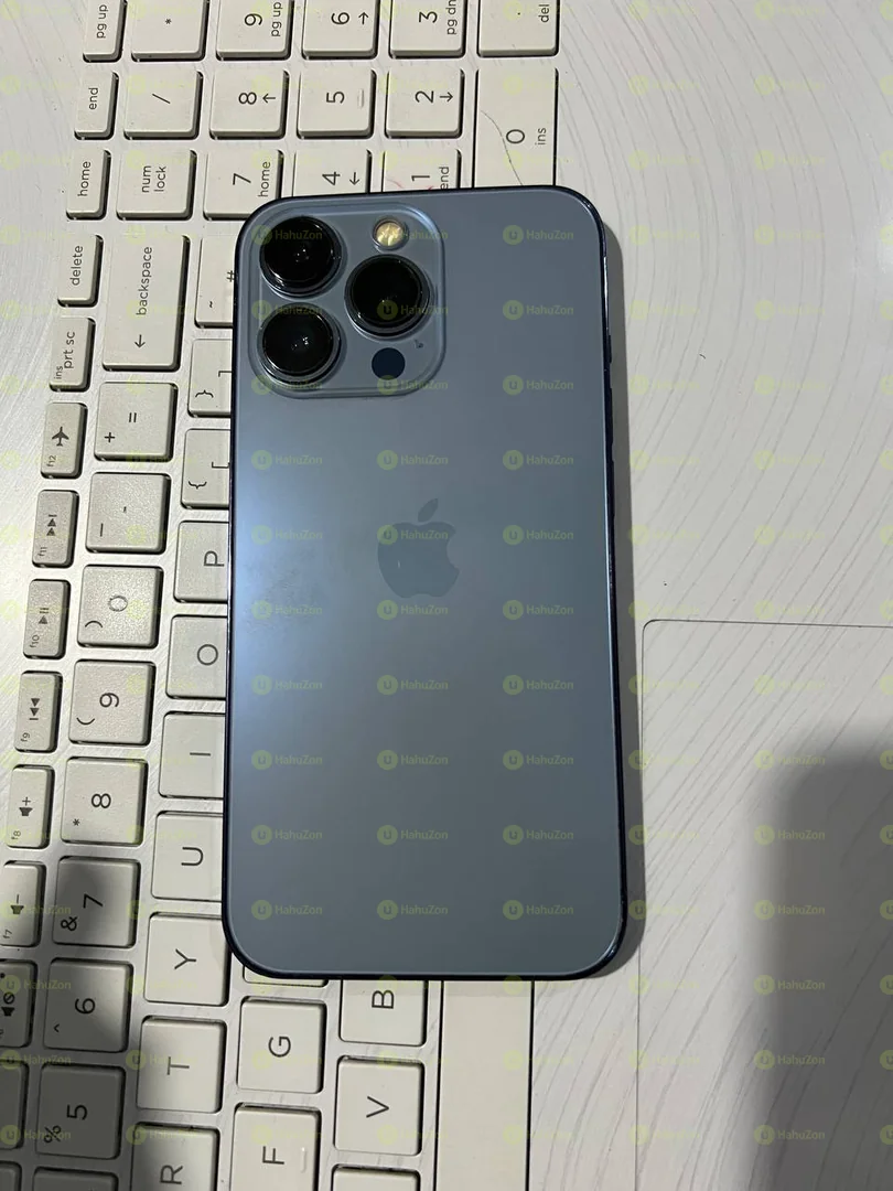 iPhone 13 Pro Max