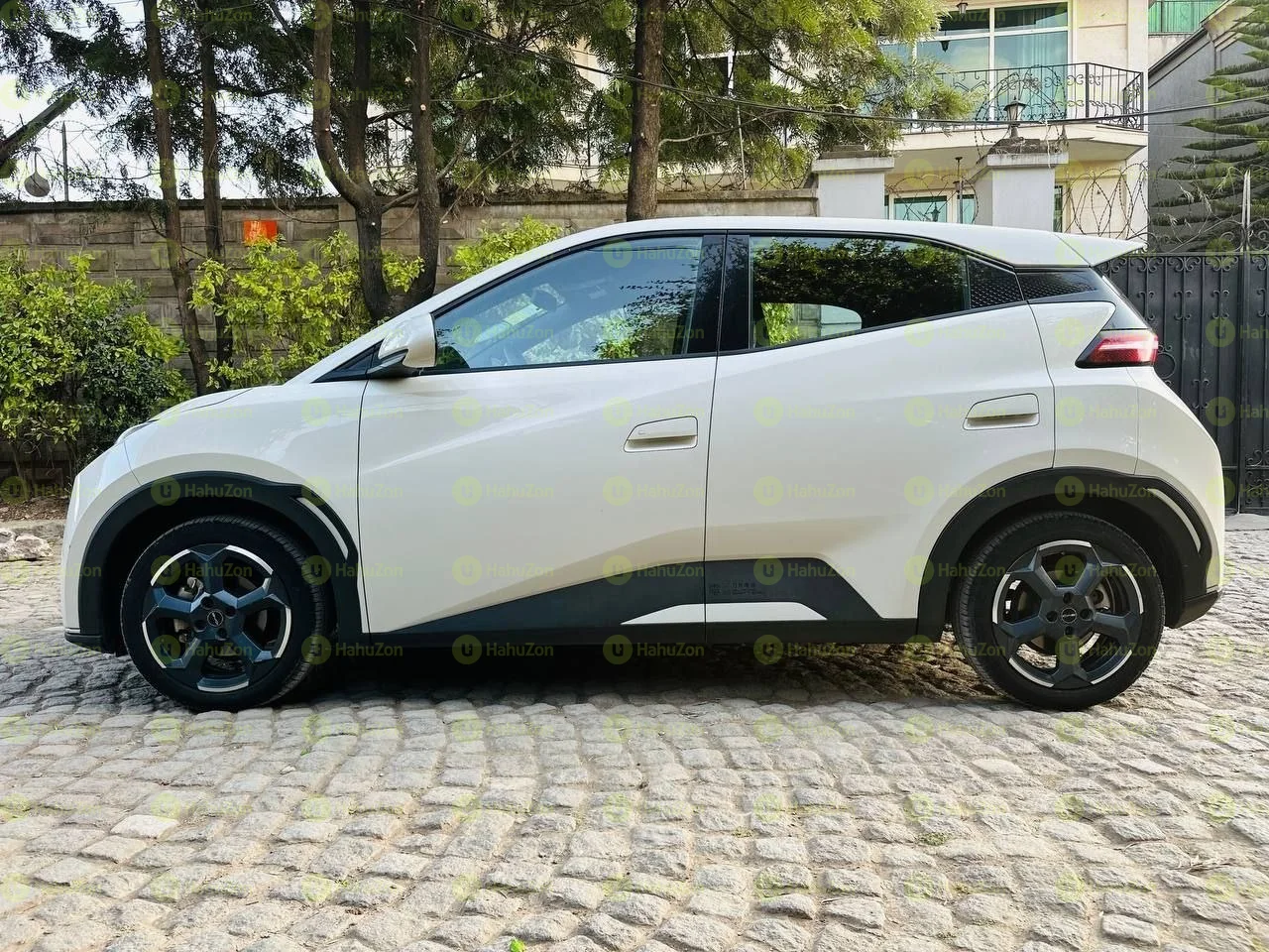 2024 Model-BYD Seagull