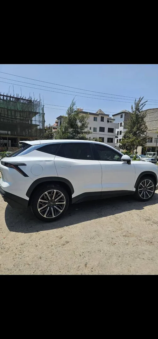 2022 Model-Jetour Dashing