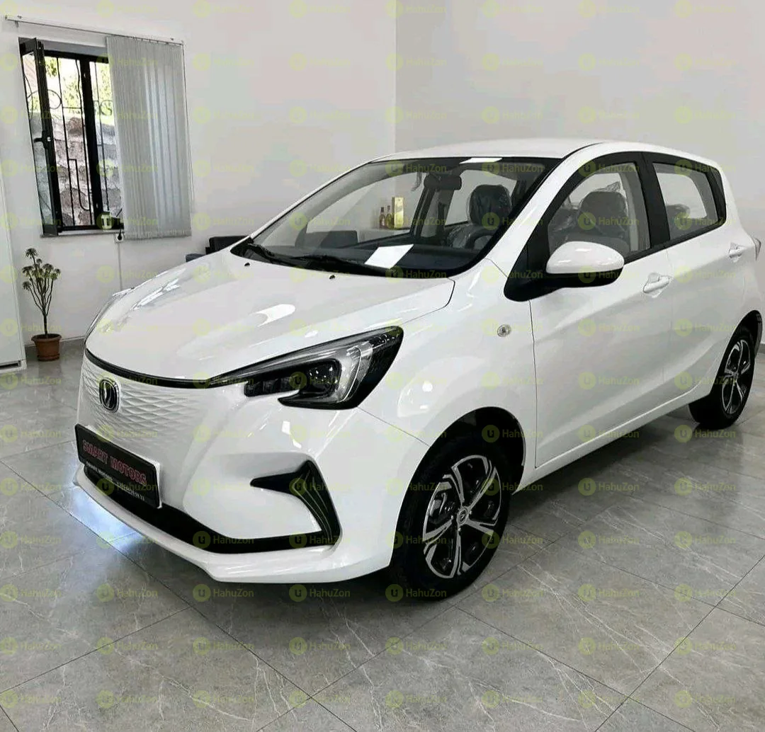 2025 Model-Changan E-star