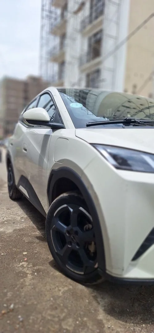 2024 Model-BYD Sagul