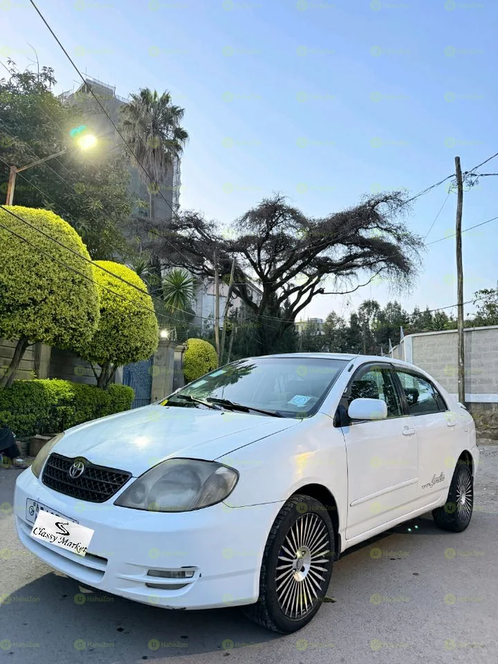 2003 Model-Toyota Corolla