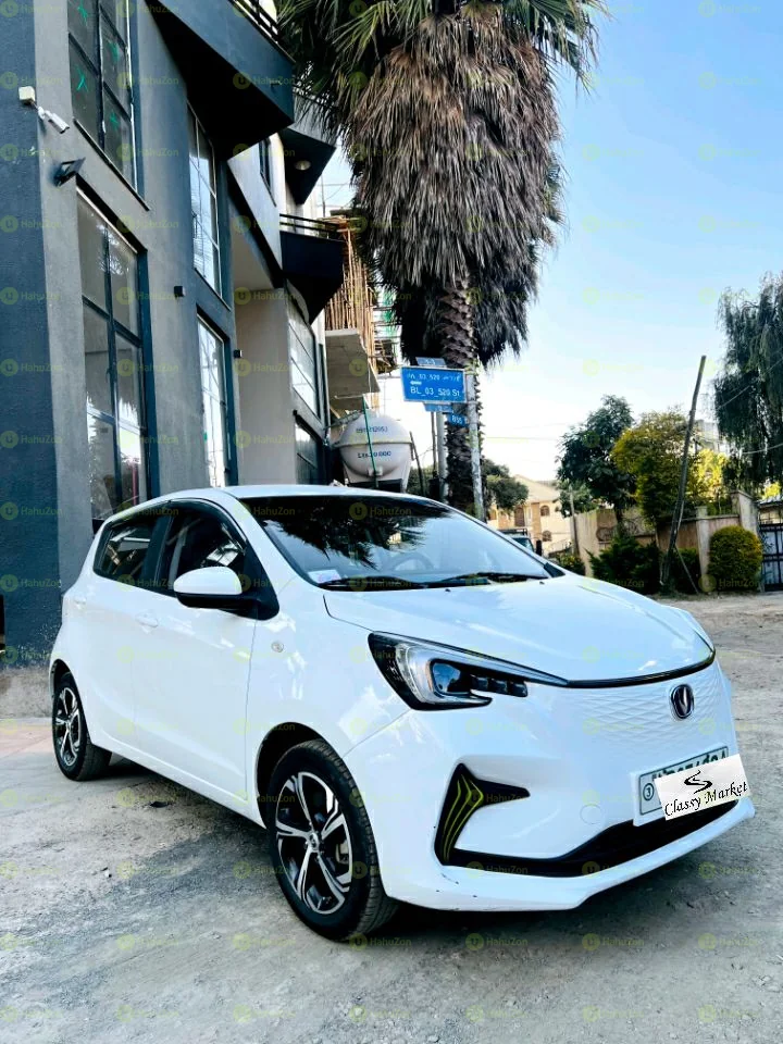2020 Model-Changan Benben E-Star