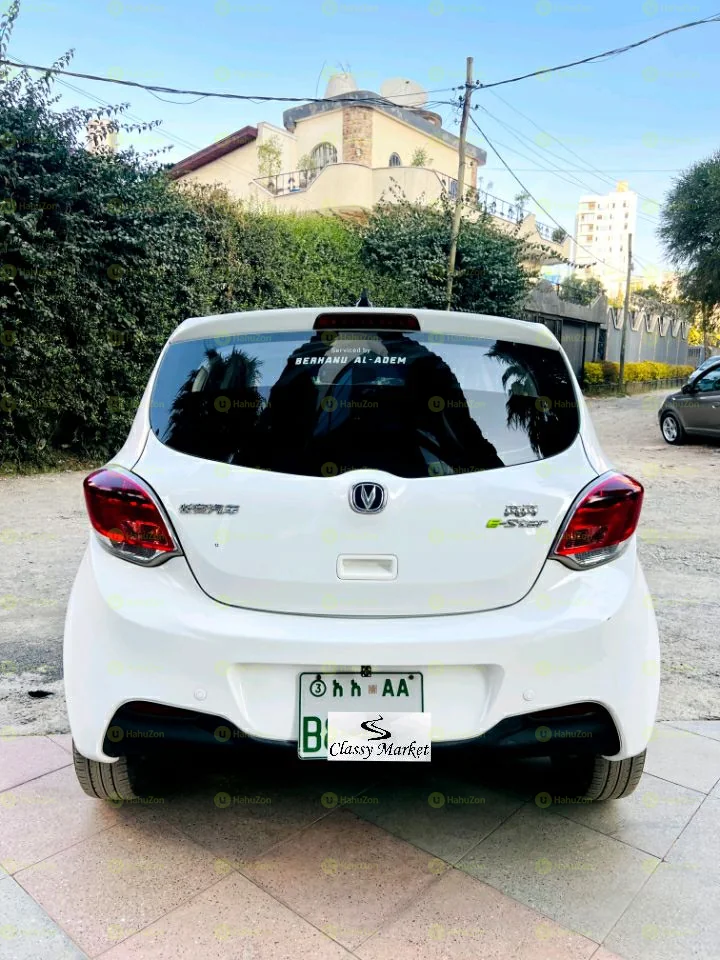 2020 Model-Changan Benben E-Star