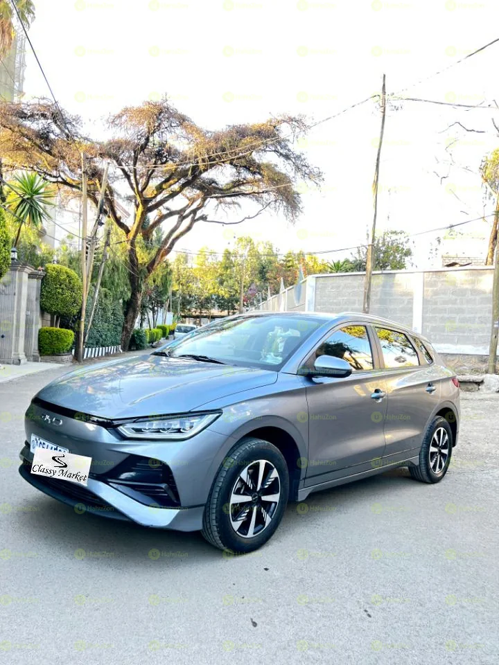 2024 Model-BYD E2
