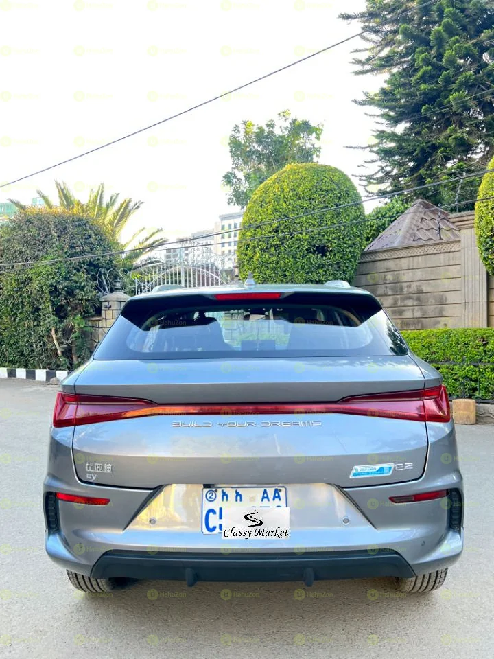 2024 Model-BYD E2