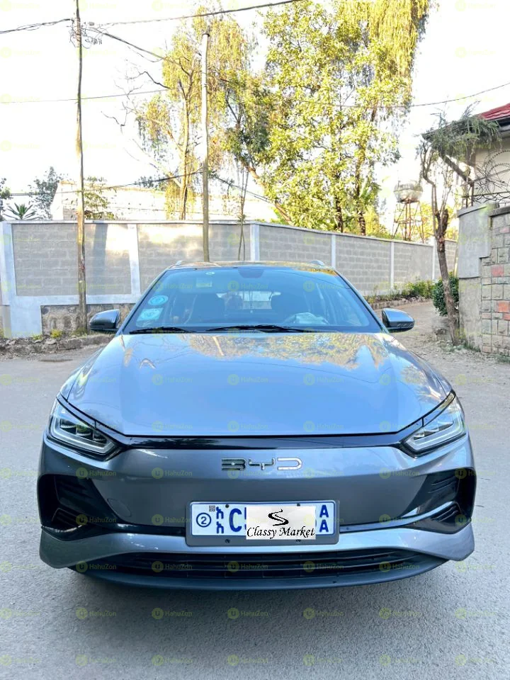 2024 Model-BYD E2