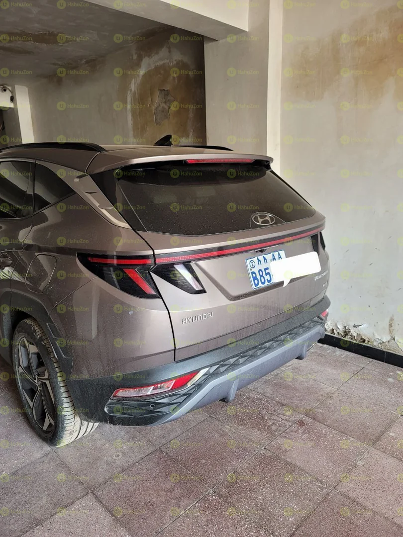 2021 Model-Hyundai Tucson