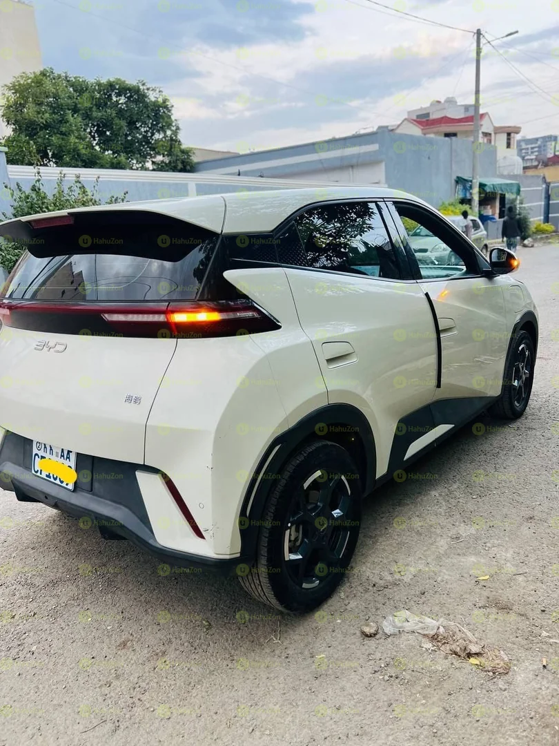 2025 Model- BYD Sagul