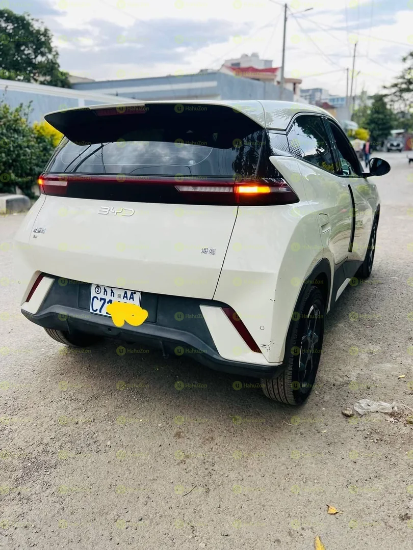 2025 Model- BYD Sagul