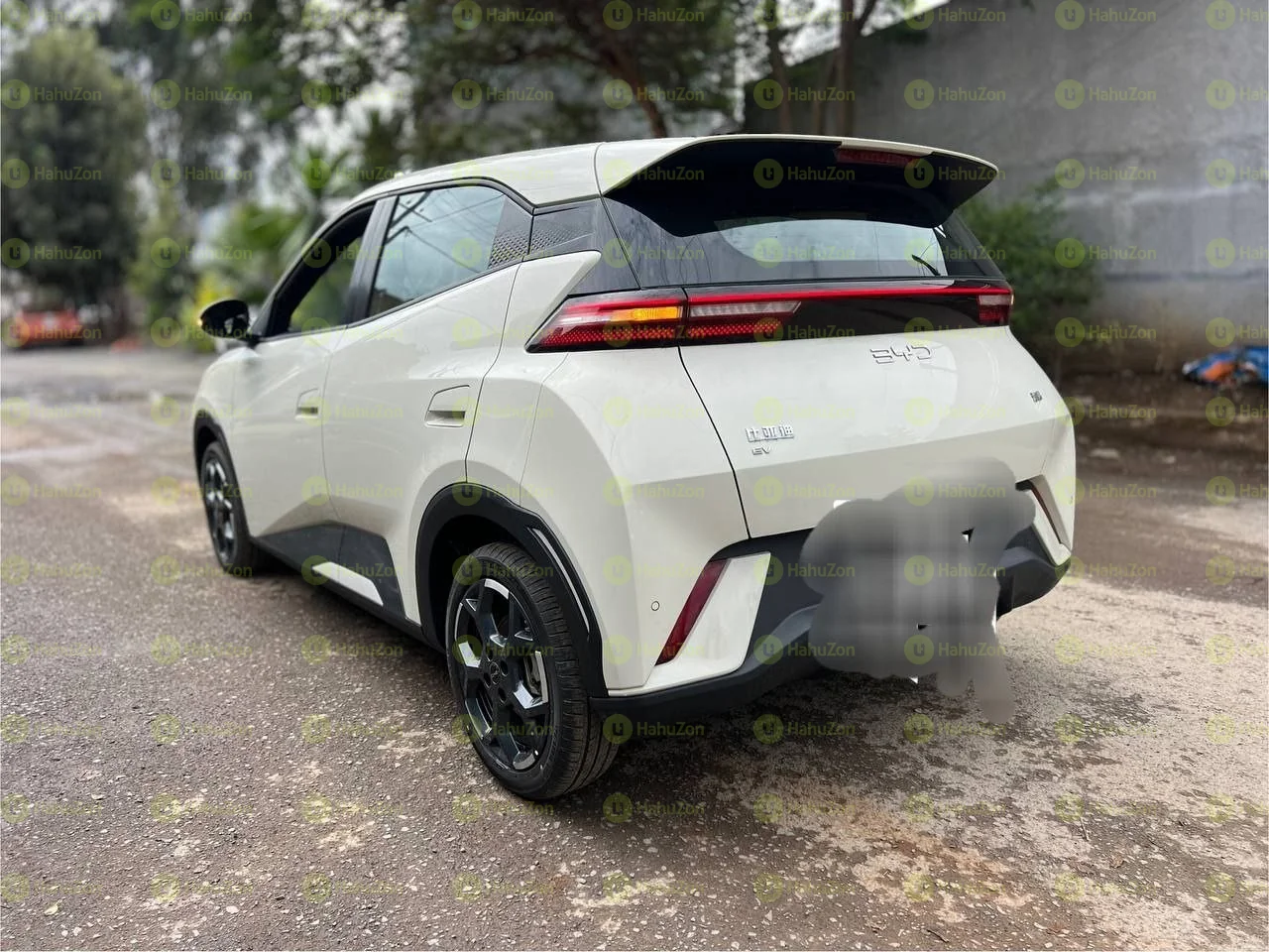 2024 Model- BYD Sagul