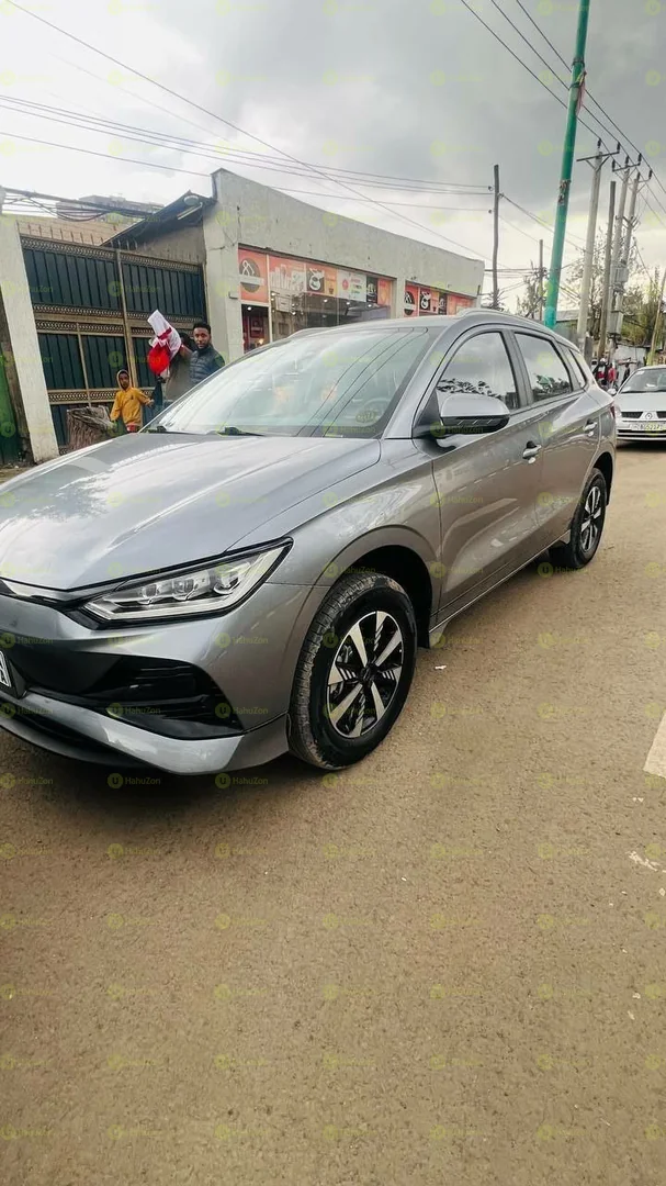 2025 Model-BYD E2