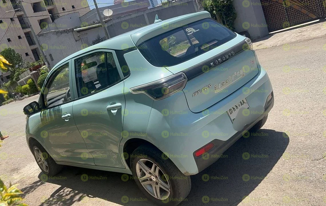 2021 Model-Kasa Electirc