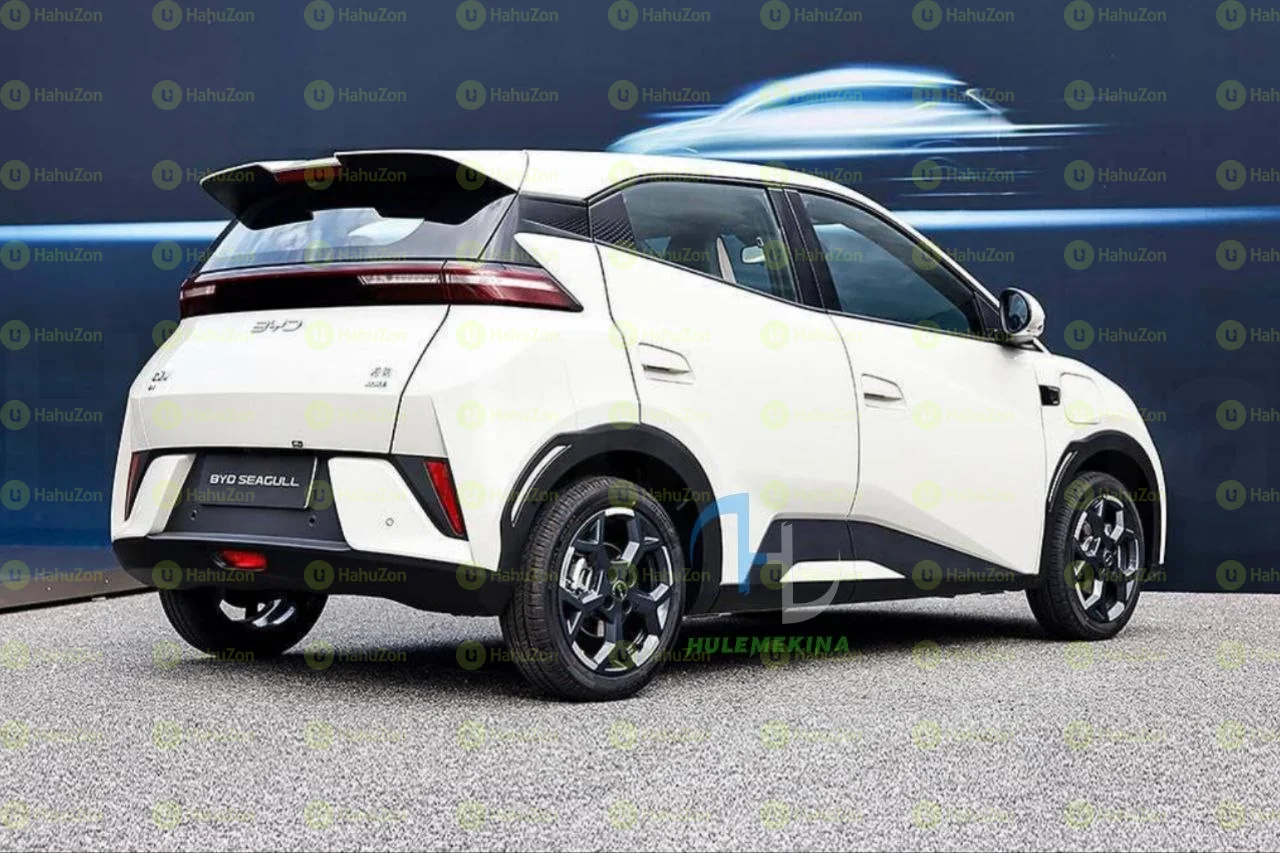 2025  Model-BYD Seagull