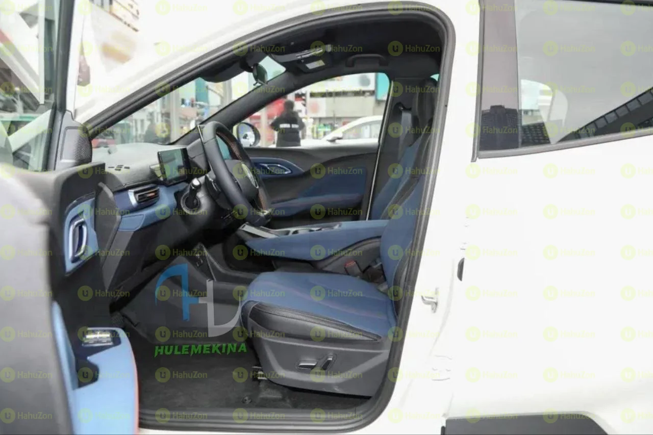 2025  Model-BYD Seagull