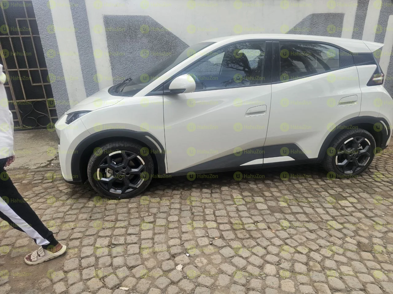 2025 Model-BYD Seagull