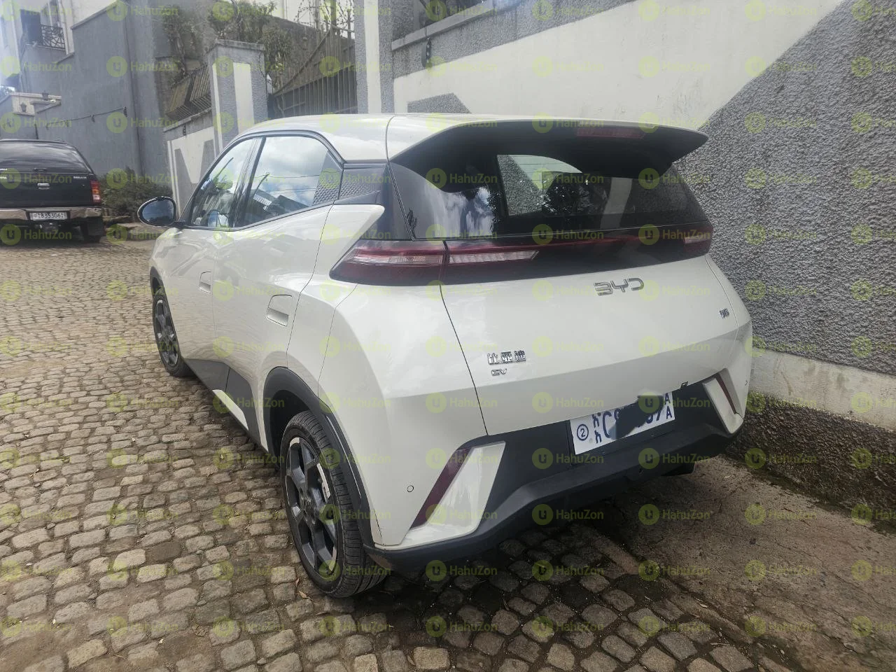 2025 Model-BYD Seagull