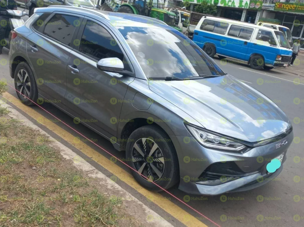 2025 Model-BYD E2