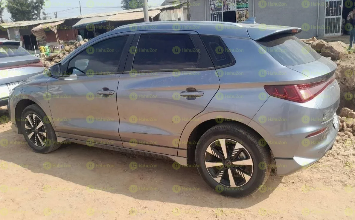 2025 Model-BYD E2
