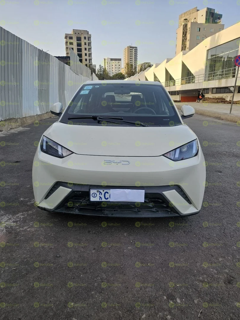 2024 Model-BYD Seagull