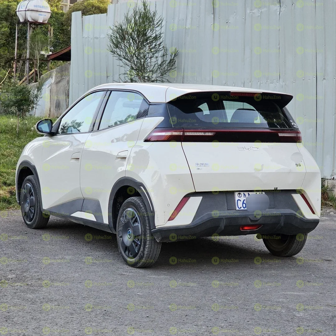 2024 Model-BYD Seagull