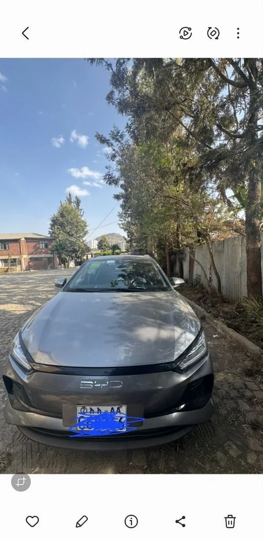 2024 Model-BYD E2