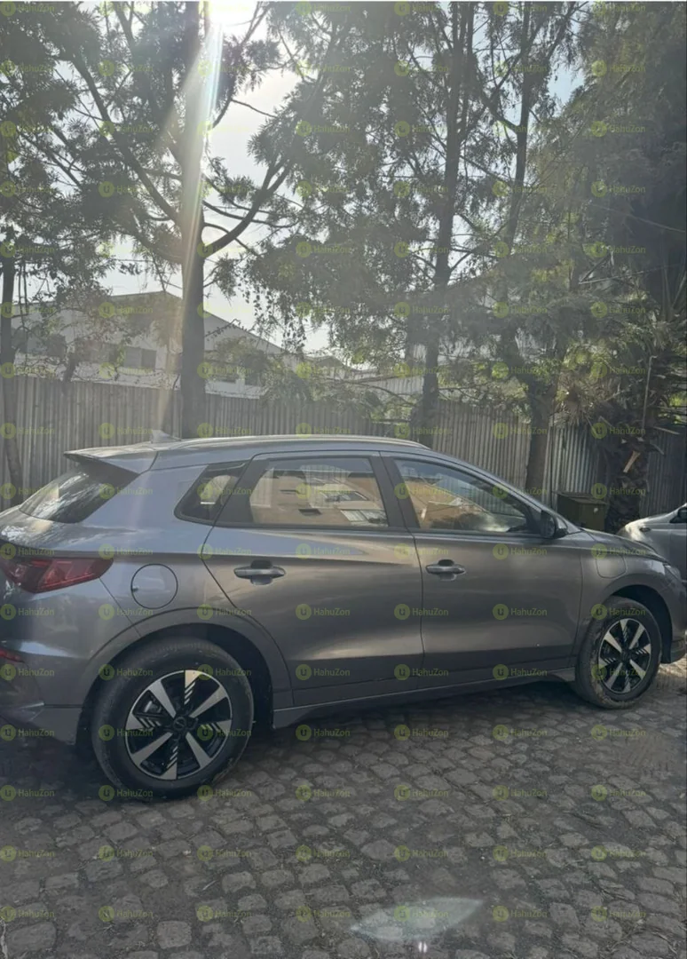 2024 Model-BYD E2
